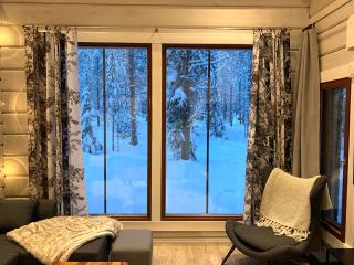 Levinkruunu B Visit Levi - 3