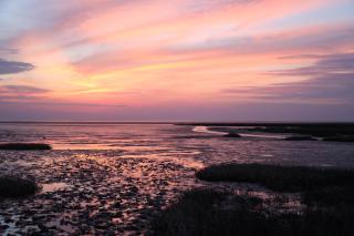 Küstenjunge "Ebbe" - 3