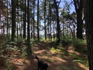 Poole Manor House - 4