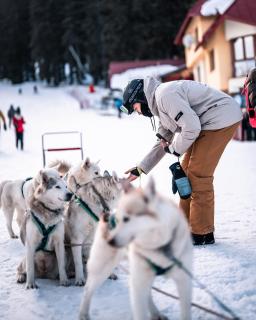 Nachovata Guest House Stoykite, near Pamporovo - 1