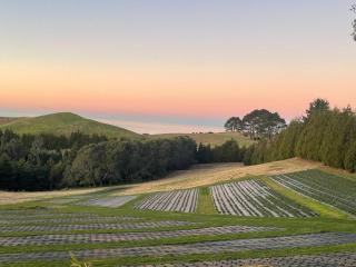 Sea & Mountain Views Retreat on Rosemary Farm - 6