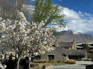 Modern Comfort Mountain Views - Walk to Queenstown - 7