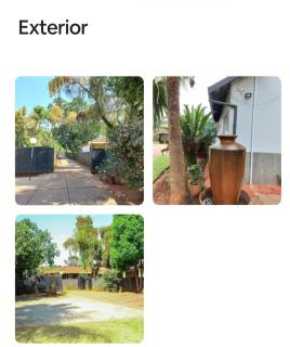 Amani Princely treat Silverton - 9