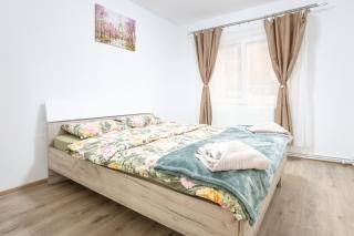 Apartament Cetate - 9