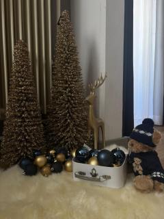 Hotel Cavalli - Winterwonderland - 4