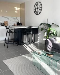 Luminosa T2 lumineux proche Airbus parking - 4