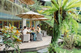 Lumina Wellness Retreat - 8