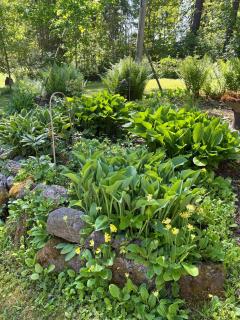 Three cozy cottages, sauna and hot tub - 1