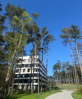 Apartament Homar AKTENA Shellter Rogowo - 2