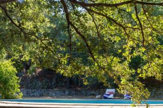 Casa U Quercitellu Ville-di-Paraso - 4