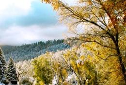 Shady Brook Inn Village/Resort - 5