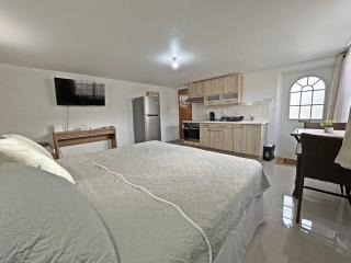 Montybell Studio Ch Ch - 2