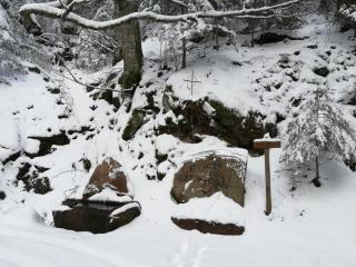 Stinneshof - 8