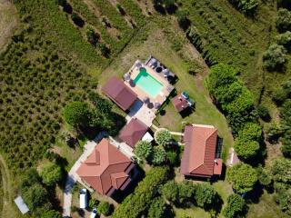 Aggelina's Apartments - 9