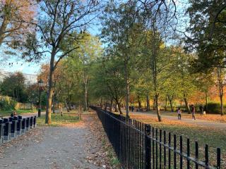 Kensington Olympia Apartments, 1 Bedroom Apartment - 3