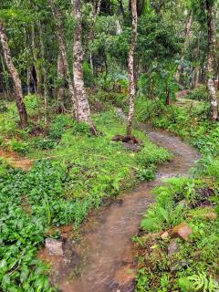 Friendz Homestay Sakleshpur - 4