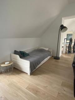 Au bonheur des Anes - Gite Maya - 0