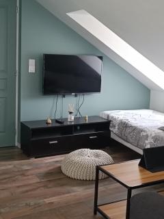 Appartement de charme centre ville - 7