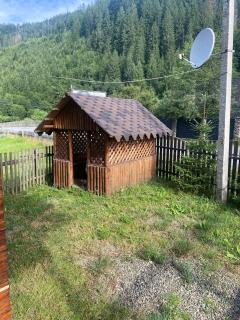 Подих Лісу - 3