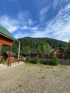 Подих Лісу - 6