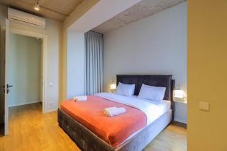 Spacious 3 BedroomR and 2 balcony Apartment in the city center - 8