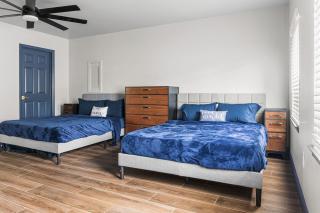 NEW Mid-Century Modern Retreat near 3 sisterSpring - 6