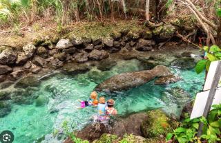 NEW Mid-Century Modern Retreat near 3 sisterSpring - 3