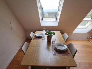 Studio Apartment for 1-2 People with Rhine View - 8