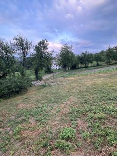 Casetta Pierluigi - 9