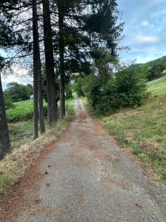 Casetta Pierluigi - 1