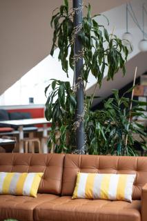 Loft - HI Eco Hostel - 2