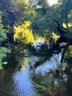 Suite KalypsÔ, romantisme, balnéo et sauna privé - 1