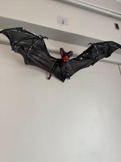 Parenthèse nantaise, charmant T2 cosy et décoré, ambiance Halloween garantie - 6