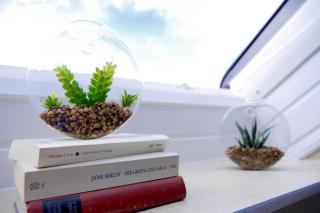 Ferien- Monteurwohnung in Zülpich - 1