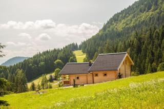 Hütte Höhenegg - 1