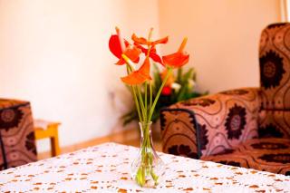 Cozy 3 bedroom house - 2