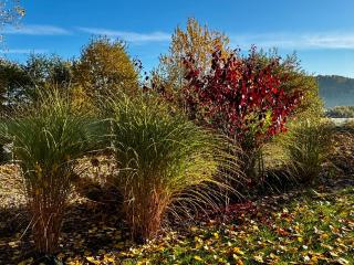 Osada Aurora Całoroczne domki z jacuzzi z widokiem na jezioro i góry - 5