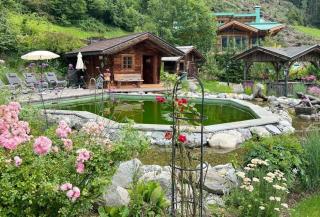 Bergchalet Klausner Edelweiß - 8