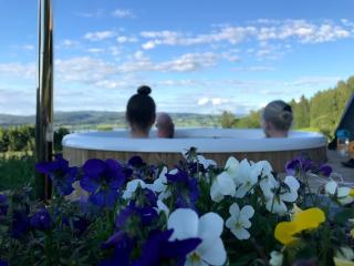 Cosy farmhouse with spa as add on service - 7