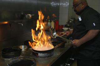 Casuarina Tree - Mitcham - 2