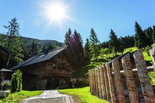 Bergseegut Chalets - 3