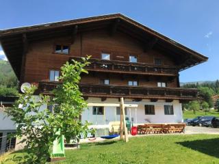 Bauernhaus Hollersbach - 9