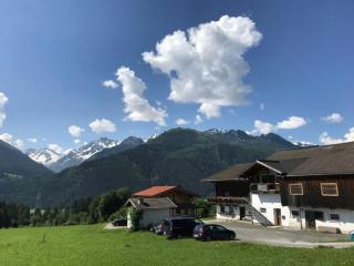 Bauernhaus Hollersbach - 7