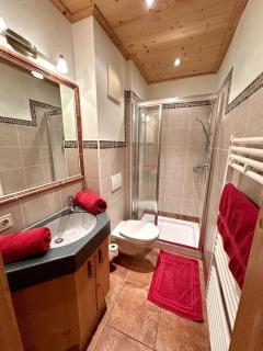 Chalet Amade - Forstau - 1