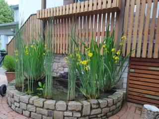 Ferienwohnung Bussard - 9