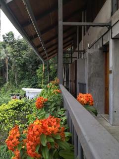 Voyage Retreat Pulau Pangkor 归航楼 - 5