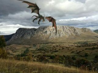 Remote Tiny House Retreat - 9