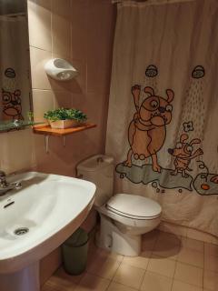 Dúplex con chimenea en la Vall de Boí - Falcó 6 - 3