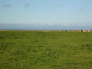 Ferienhaus in Nessmersiel 20-006a - 7