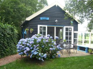 Hortensia Eiland - 0